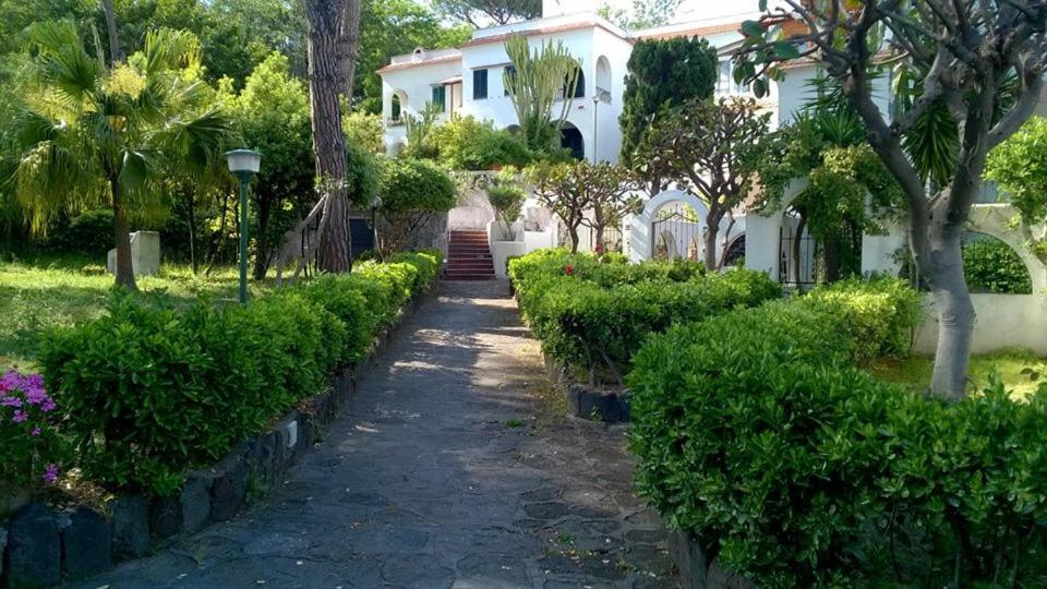 Villa Iscla Maison D'Hotes 伊斯基亚 外观 照片